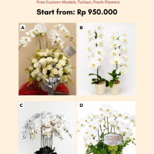 Anggrek Putih Elegan